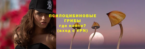 гидропоника Бугульма