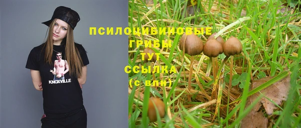 spice Бронницы
