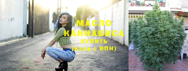 mdpv Бородино