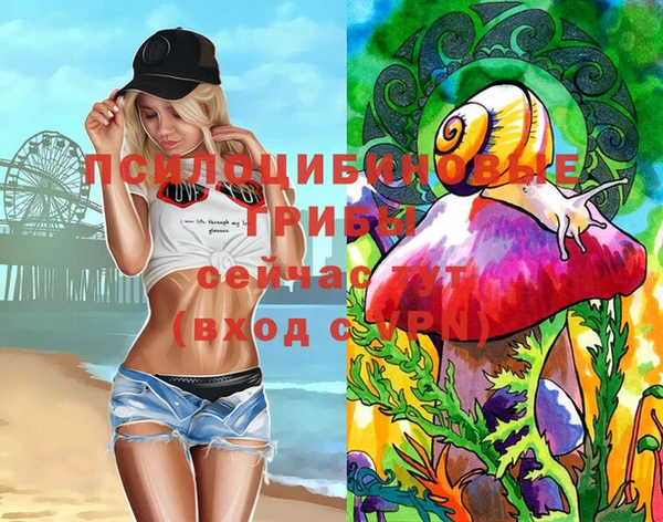 гидропоника Бугульма