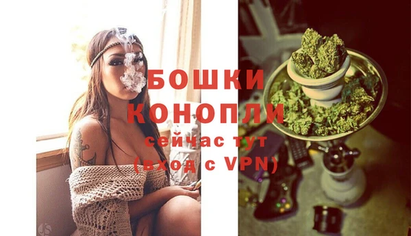 spice Бронницы
