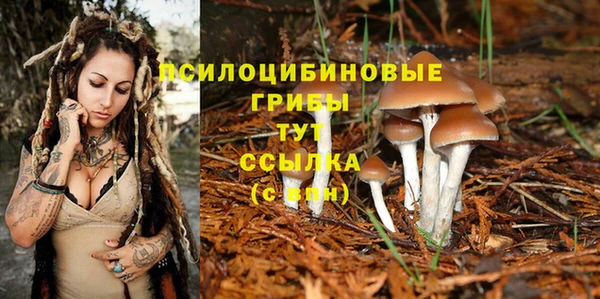 гидропоника Бугульма