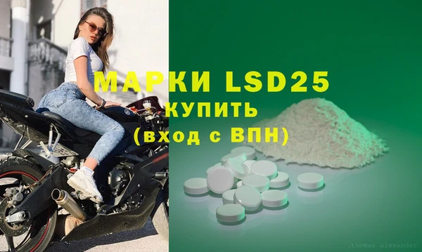 mdpv Бородино