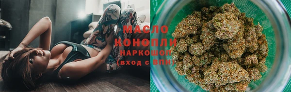 mdpv Бородино