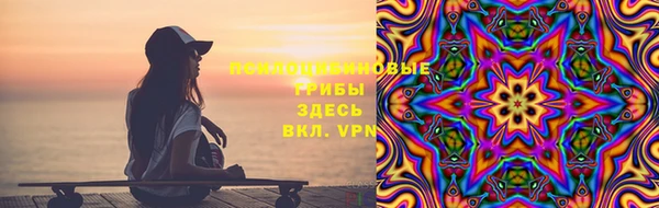 mdpv Бородино