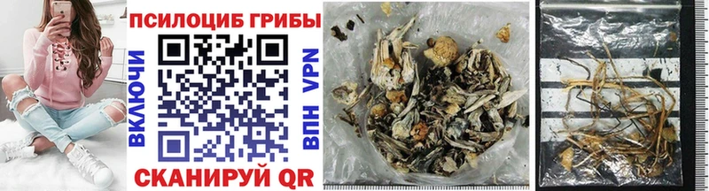 Галлюциногенные грибы MAGIC MUSHROOMS  Купить закладки  Хилок 